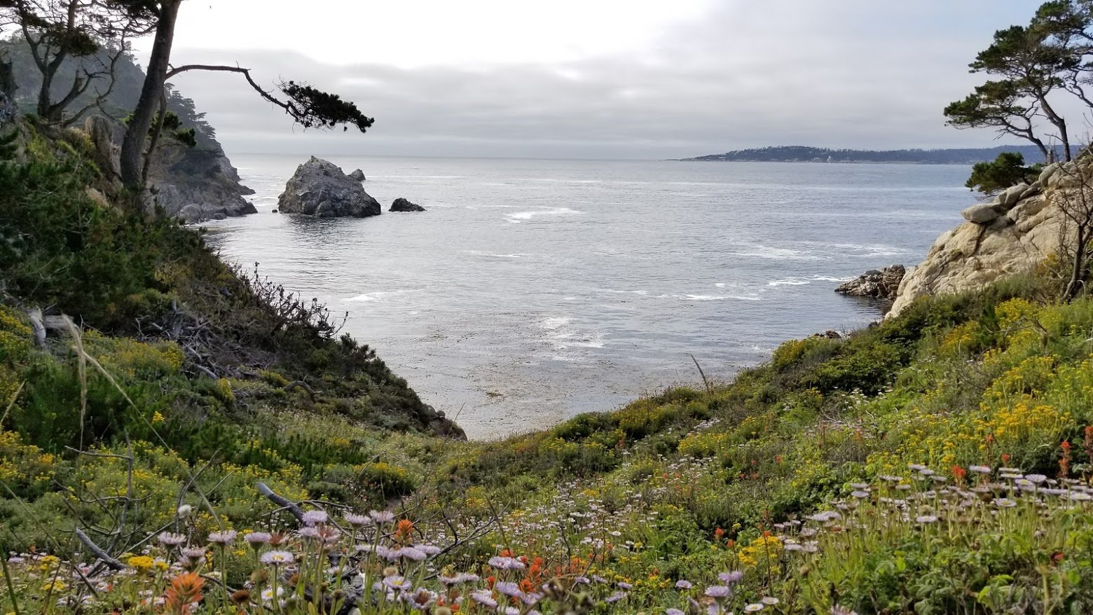 Santa Cruz, Carmel & Pacifica